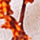 HS111-B