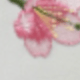 Nhiều màu