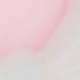 1 羅莎