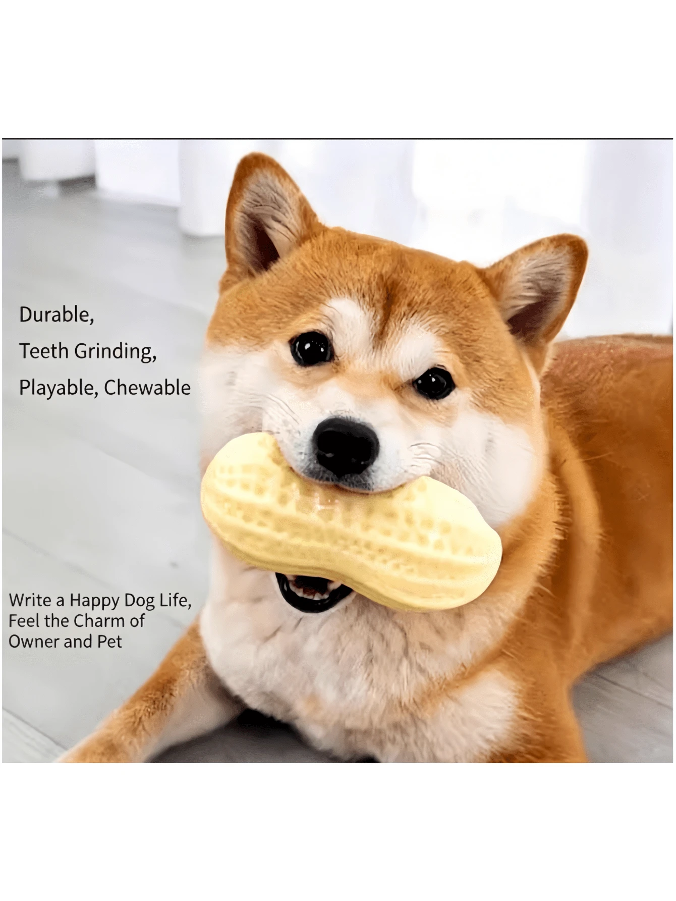 Squeaky Peanut Dog Chew Toy Durable Bite Resistant Teething Toy - Multicolor - View 1