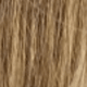 S6