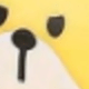 多色