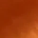 Burnt Orange