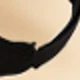 الأسود