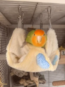 1件小動物上下舖躲藏屋/隱身處，籠內配件，可水洗，吊床設計，適合老鼠、松鼠、蜜袋鼴、雪貂、大鼠、龍尾鼠及其他小型寵物 - 查看 5