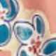 彩色