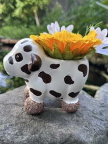 可愛牛形樹脂花盆附排水孔，可愛動物多肉植物盆，適合室內外使用，田園風裝飾，完美適用於桌面、窗台、陽台、花園，適合仙人掌、香草、小型植物，植物愛好者和家居裝飾愛好者的獨特禮物，耐用且輕巧 - A - 查看 2
