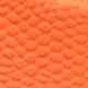 Coral Orange