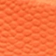 Coral Orange
