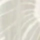 trắng