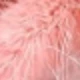 Coral Pink