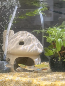 模擬蘑菇造型魚蝦躲藏窩，可愛蘑菇水族箱躲藏處，適用於鬥魚與蝦魚缸，水族箱配件裝飾擺件，適合水族愛好者、魚類愛好者與寵物飼主 - A - 查看 7