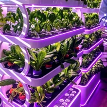 全光譜植物生長燈條，USB 5V 柔性植物燈。自黏式快速安裝，適用於各種植物和水耕栽培。適合溫室、生長帳篷、植物架、櫥櫃、居家與辦公室室內園藝。 - Plant Light Strip - 查看 8