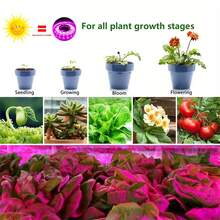 全光譜植物生長燈條，USB 5V 柔性植物燈。自黏式快速安裝，適用於各種植物和水耕栽培。適合溫室、生長帳篷、植物架、櫥櫃、居家與辦公室室內園藝。 - Plant Light Strip - 查看 2