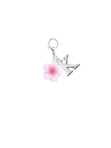 逼真雞蛋花櫻花字母鑰匙圈，花朵字母 A-Z 包包吊飾，可愛花卉字母鑰匙環，適合女性、女孩和青少年。個性化姓名首字母鑰匙圈，可用於背包、錢包、手提包、車鑰匙和拉鍊裝飾。時尚字母組合鑰匙圈，適合日常使用、旅行、學校、海灘、派對和婚禮。生日、情人節、伴娘禮物、母親節、聖誕節、畢業典禮和節日派對的理想禮物。 - 彩色 - 查看 13
