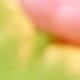 多色E10