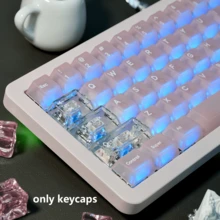 132-Key Fujimoto Tsukihide Flowers Light Purple White/Pink PC Frosted Transparent Keycaps Original Height Keycaps Compatible With 61/75/87/98 - View 10