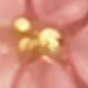 彩色