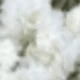 White-green 1