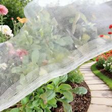 戶外保護用園藝防護網 3.2x16.4 FT 白色超細網布附抽繩袋，蔬菜、果樹與植物防鳥防蟲護植網，蔬菜防護網 - A - 查看 10