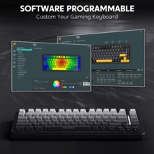 Keyboards - View 5