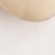 彩色