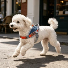 Anti-Pull Anti-Escape Reflective Pet Harness, Comfortable Breathable Mesh Lining, High-Quality Space Aluminum Leash D-Ring, Lightweight No-Burden Design, Anti-Pull Auxiliary Handle, Suitable For Medium And Small Dogs, Home And Outdoor Use. Close-Range Anti-Pull Handle For Close-Range Control To Prevent Dog Pulling; Used For Short Leashing When Crossing Roads Or In Crowded Areas; Use Handle To Lift And Assist Pet In Overcoming Obstacles Or Going Upstairs - Grey - View 5