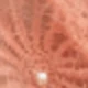 Blood Tooth Color