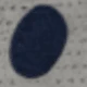 متعدد الألوان