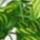西瓜