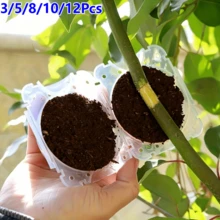 3/5/8/10/12件組塑膠嫁接盒，球形設計附通風孔，透明植物嫁接保護罩，室內/室外園藝植物嫁接工具，適用於幼苗、植物、花卉及園藝用品 - 多色 - 查看 9