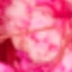 Pink 1