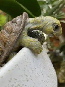 迷你龜雕像花盆裝飾品，逼真樹脂攀爬龜裝飾，適合盆栽、多肉植物和水族箱的園藝裝飾，給植物愛好者的創意禮物 - 烏龜裝飾 - 查看 5