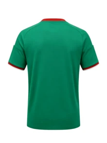 T-Shirt With A Combined  Print Of The USA, Canada, And Mexico, Featuring An Eagle Design With National Flags, A Soccer Ball In The Center, And Other Details. - 綠色 - 查看 2