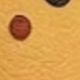 Coin Purse