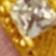 Dorado