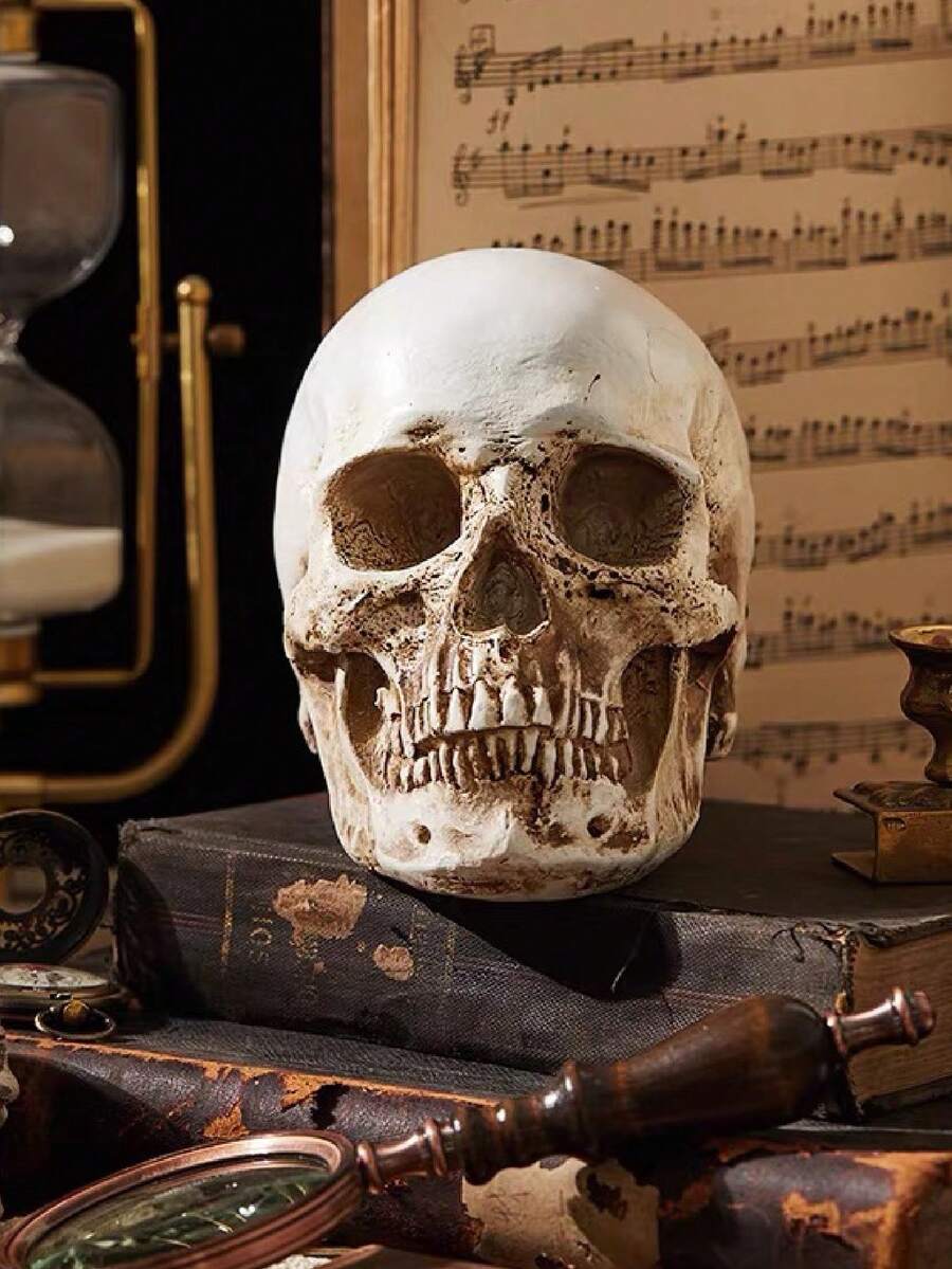 1 Desktop Skull Home Decoration, Resin Skull Model, Realistic Skull, Elderly Skull Life-Size Skull, Halloween Decoration - A - View 1