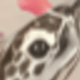 無色