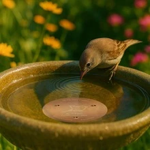 銅製鳥浴盤，鳥浴架，厚銅板，用於鳥類洗澡，3點支撐確保全年水質清潔，適用於所有戶外鳥浴盆 - 浴盆 - 查看 1