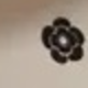 黑與白