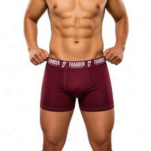 Kit 18 Cuecas Boxer Thander de Microfibra Lisa Adulto - Multicolorido - Visão 6