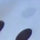 trắng