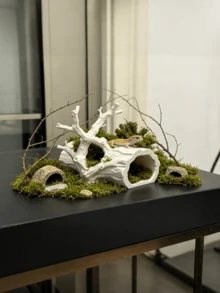 Gecko Hideout / Reptile Hide / Rainforest Decor / Driftwood Shelter / Terrarium Accessories / Vivarium Decor / Lizard Habitat / Reptile Tank Landscaping - White - View 2