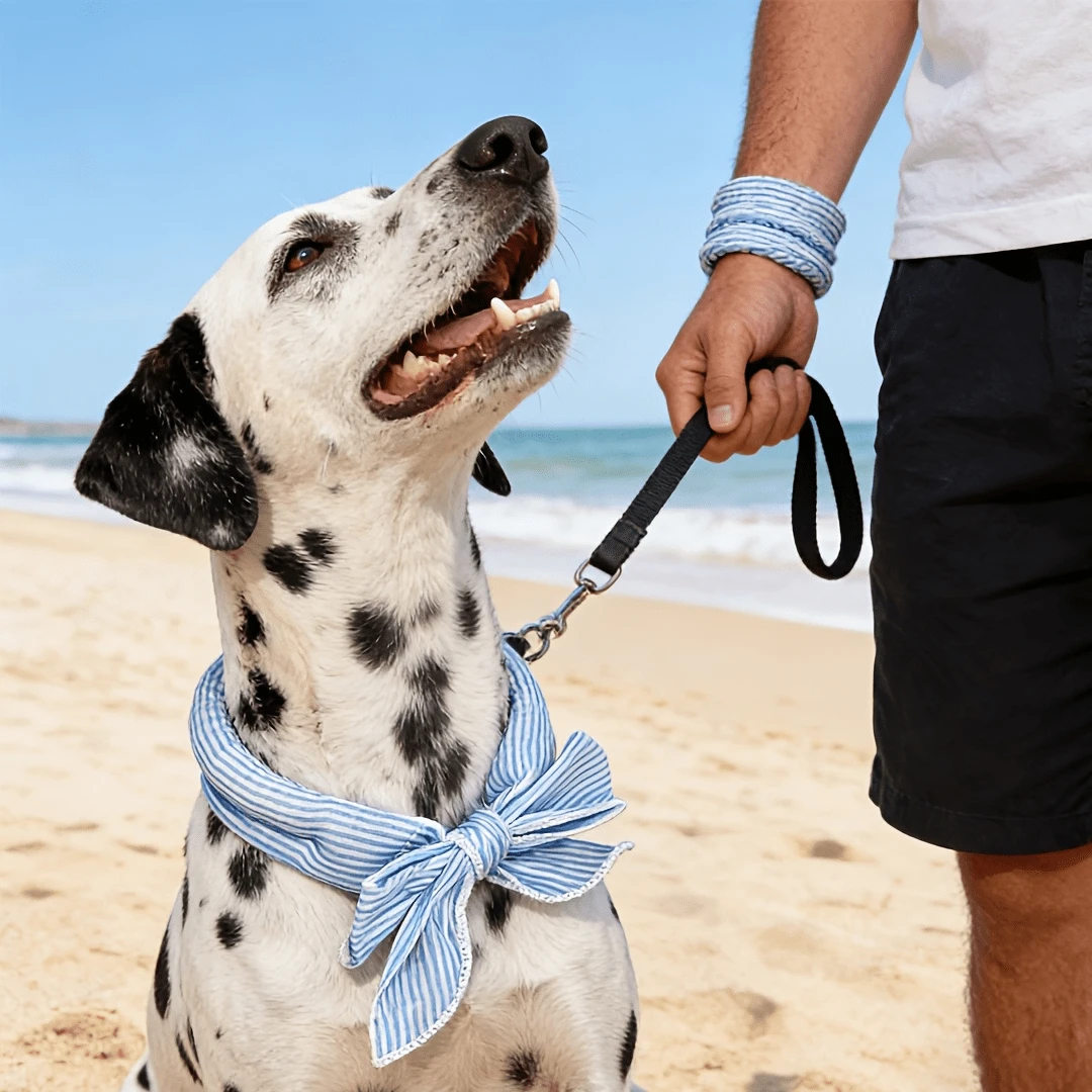 OBOVAY 2pcs/Set Universal Summer Pet Cooling Scarf, Suitable For Dogs And Cats, Physical Heatstroke Prevention Cooling Scarf, Outdoor Ice-Feel Neck Wrap, Multiple Asymmetrical Patterns, Dog And Cat Neck Collar, Pet Outdoor Travel Essential, Outdoor Ice-Feel Neck Collar