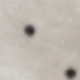 trắng