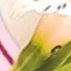 彩色