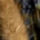 Brownish-green 3