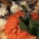 Orange-green 1