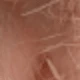 Light Pink Rabbit Tail Grass