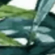 彩色